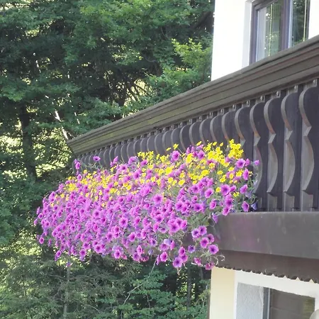 Ferien Im Haus Helga In شقة شتاينباخ آم أترزي