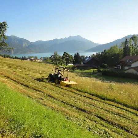 Apartment Ferien Im Haus Helga In Steinbach am Attersee