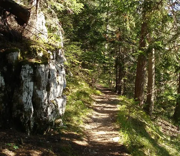 Ferien Im Haus Helga In * Steinbach am Attersee