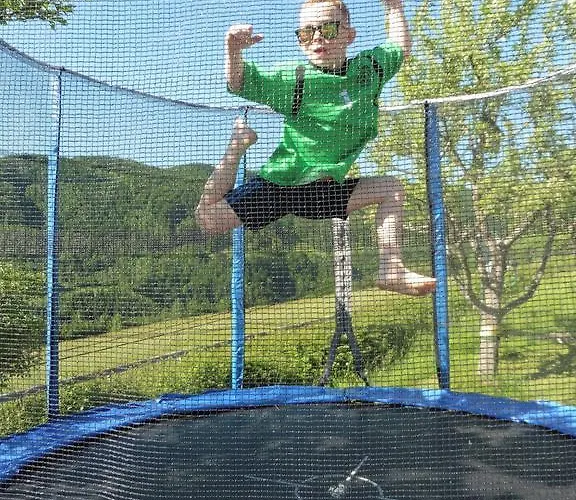 Ferien Im Haus Helga In Steinbach am Attersee