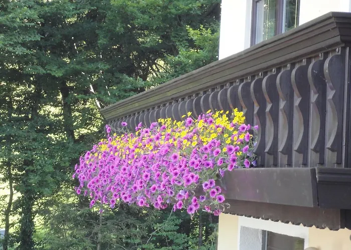 Ferien Im Haus Helga In Διαμέρισμα Steinbach am Attersee