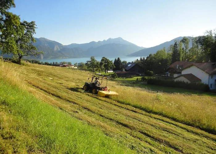 Διαμέρισμα Ferien Im Haus Helga In Steinbach am Attersee