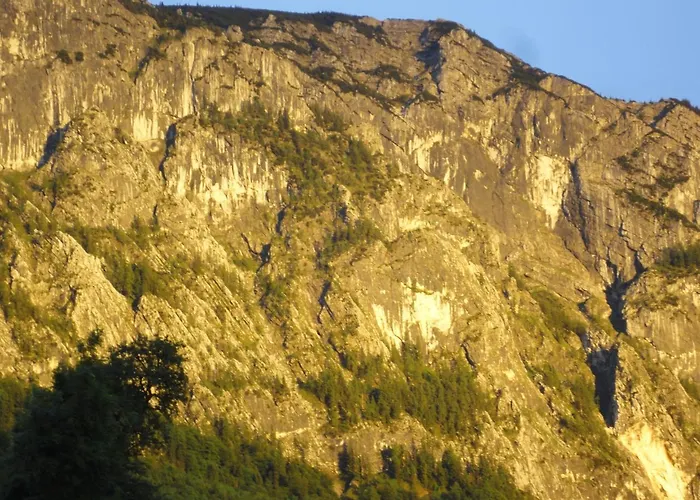 Ferien Im Haus Helga In Διαμέρισμα Steinbach am Attersee