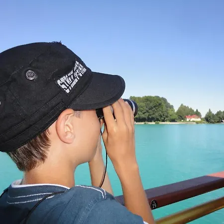 Apartamento Ferien Im Haus Helga In Steinbach am Attersee