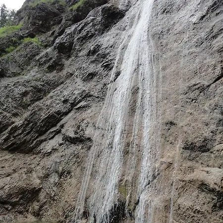 Ferien Im Haus Helga In Steinbach am Attersee