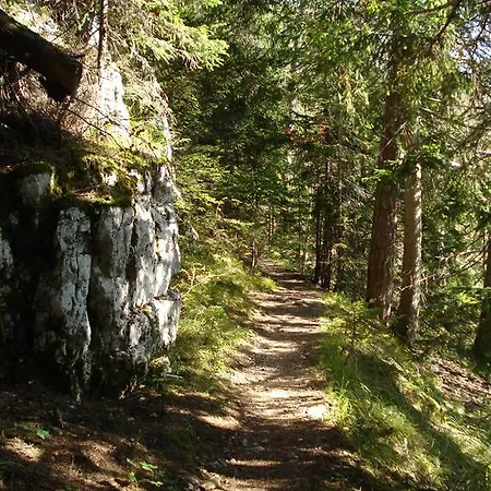 Ferien Im Haus Helga In * Steinbach am Attersee