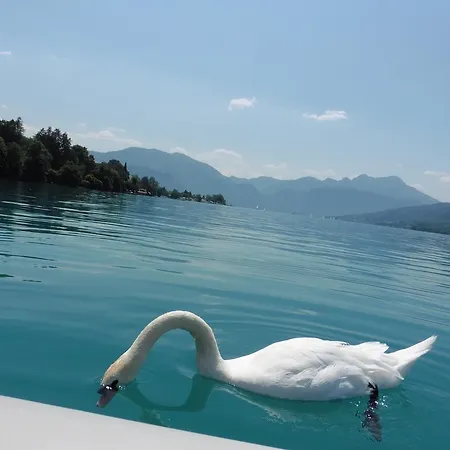 Ferien Im Haus Helga In *