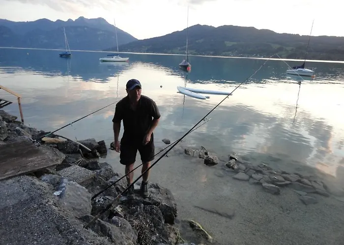 Apartment Ferien Im Haus Helga In Steinbach am Attersee