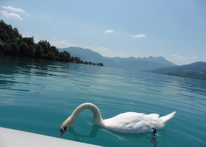 Ferien Im Haus Helga In *